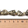 Raw Rough Natural Dalmatian Jasper Beads Strands G-Z087-A01-5