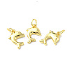 Rack Plating Brass Charms KK-F852-03G-3