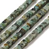 Natural African Turquoise(Jasper) Beads Strands G-N342-83-1