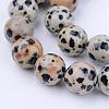 Natural Dalmatian Jasper Beads Strands G-Q462-6mm-30-1