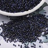 MIYUKI Delica Beads X-SEED-J020-DB2191-1