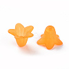 Transparent Acrylic Beads X-PLF018-08-5
