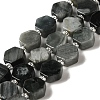 Natural Eagle Eye Stone Beads Strands G-P534-A14-02-1