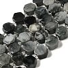 Natural Eagle Eye Stone Beads Strands G-P534-A14-01-1