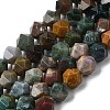 Natural Indian Agate Beads Strands G-Z119-A29-03-3