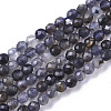 Natural Iolite/Cordierite/Dichroite Beads Strands G-R460-021-1