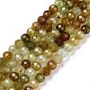 Natural Green Garnet Beads Strands X-G-C009-A25-1