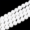 Opaque Glass Beads Strands G-T106-335-1
