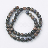 Natural Glaucophane Beads Strands G-F560-8mm-C01-2