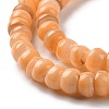 Natural Cultured Freshwater Shell Beads Strands SHEL-F002-01E-4