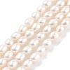 Natural Cultured Freshwater Pearl Beads Strands PEAR-P062-03B-2