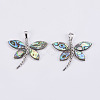 Abalone Shell/Paua Shell Pendants SSHEL-L008-26P-2