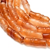 Natural Agate Beads Strands G-Z144-A02-01F-4