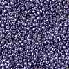 TOHO 11/0 Round Beads X-SEED-TR11-PF0567-2
