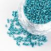 Plated Glass Bugle Beads SEED-R043-07-1