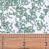 MIYUKI Delica Beads SEED-X0054-DB1171-4