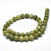 Natural Chinese Jade Beads Strands X-G-F363-10mm-5