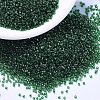 MIYUKI Delica Beads SEED-JP0008-DB1894-1