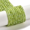 Natural Xiuyan Jade Beads Strands G-Z074-A04-02-2