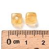 Transparent Acrylic Beads OACR-Z030-02F-3