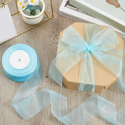 1 Rolls Sheer Organza Ribbon SRIB-CY0001-22C-12-1