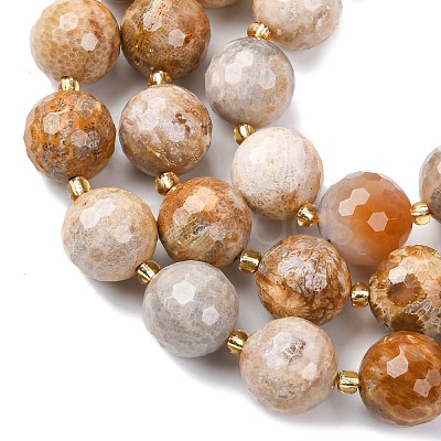 Natural Fossil Coral Beads Strands G-C249-A27-16MM-1