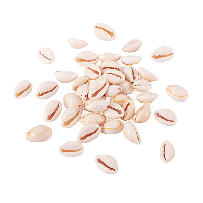 Natural Cowrie Shell Beads BSHE-TA0001-01-1