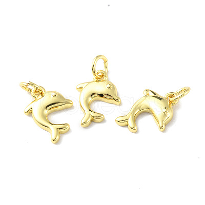 Rack Plating Brass Charms KK-F852-03G-1