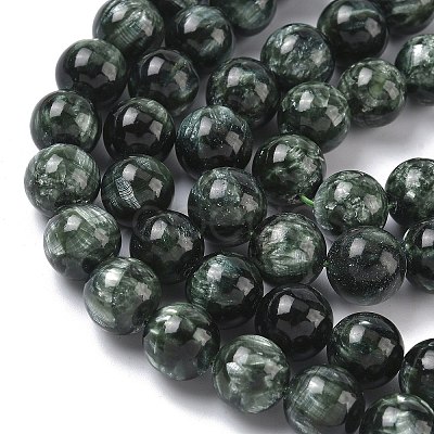 Natural Seraphinite Beads Strands G-C270-O01-11-1