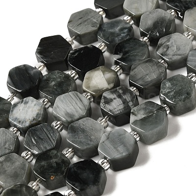 Natural Eagle Eye Stone Beads Strands G-P534-A14-01-1
