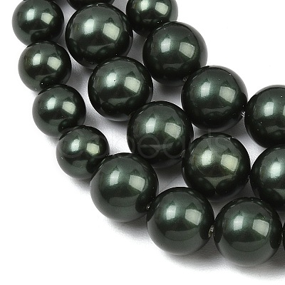 Electroplated Shell Pearl Graduated Beads Strands BSHE-C011-04-02-1