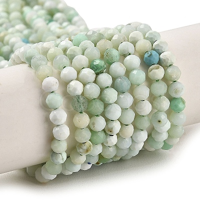 Natural Green Opal Beads Strands G-Z035-A02-02B-1