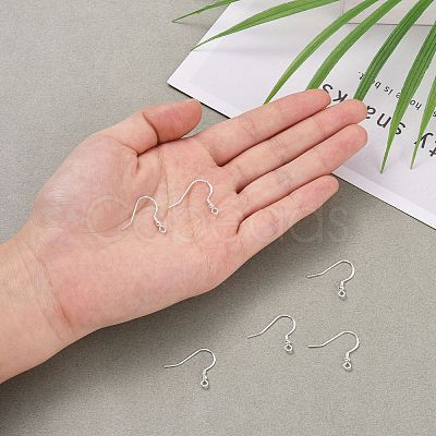 925 Sterling Silver Earring Hooks STER-K167-050S-1