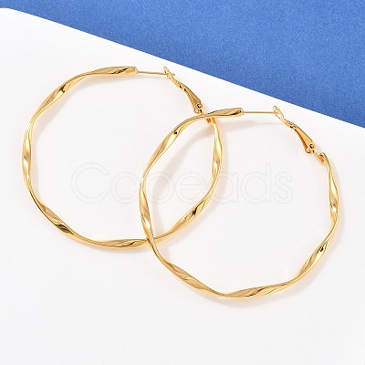 304 Stainless Steel Hoop Earrings EJEW-I320-25G-03-1