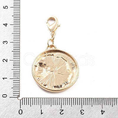 Alloy Pendant Decoration LS-HJEW-P021-01D-G-1