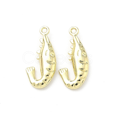 Ocean Alloy Pendants FIND-Z108-02LG-02-1