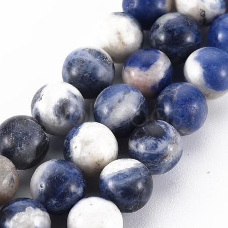 Natural Sodalite Beads Strands G-S279-10-8mm-1