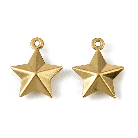 304 Stainless Steel Charms. Star Charm STAS-A190-05G-1