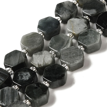 Natural Eagle Eye Stone Beads Strands G-P534-A14-02-1