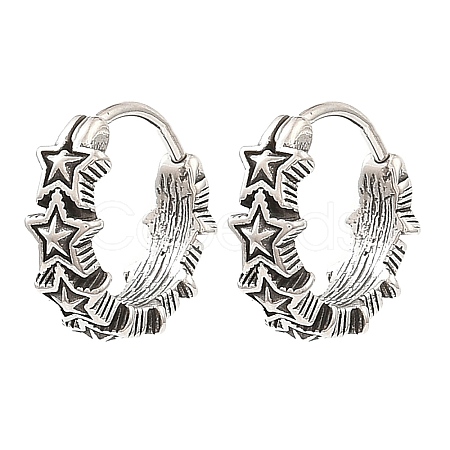 316 Surgical Stainless Steel Hoop Earrings EJEW-D096-05D-AS-1