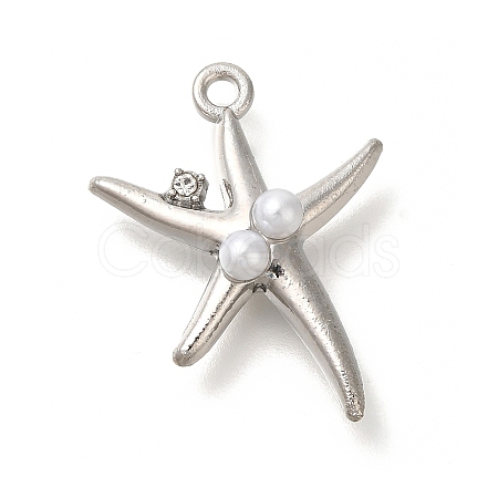 Alloy Pendants FIND-Z067-06P-02-1