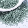 MIYUKI Delica Beads SEED-J020-DB1484-1