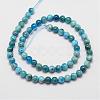 Natural Apatite Beads Strands G-D856-01-6.5mm-2