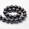 Shell Pearl Bead Strands BSHE-L025-05-16mm-2