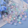 CHGCRAFT 220Pcs Transparent Acrylic Beads Sets TACR-CA0001-26-5