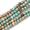 Dyed Natural Regalite/Imperial Jasper/Sea Sediment Jasper Beads Strands G-B124-C05-06-1