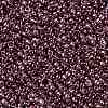 TOHO 11/0 Round Beads SEED-XTR11-0201-2