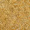 8/0 Glass Seed Beads X2-SEED-A005-3mm-22-2
