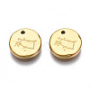 316 Surgical Stainless Steel Charms STAS-S116-418E-G-2