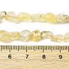Natural Gold Prehnite Beads Strands G-K395-A07-01-5